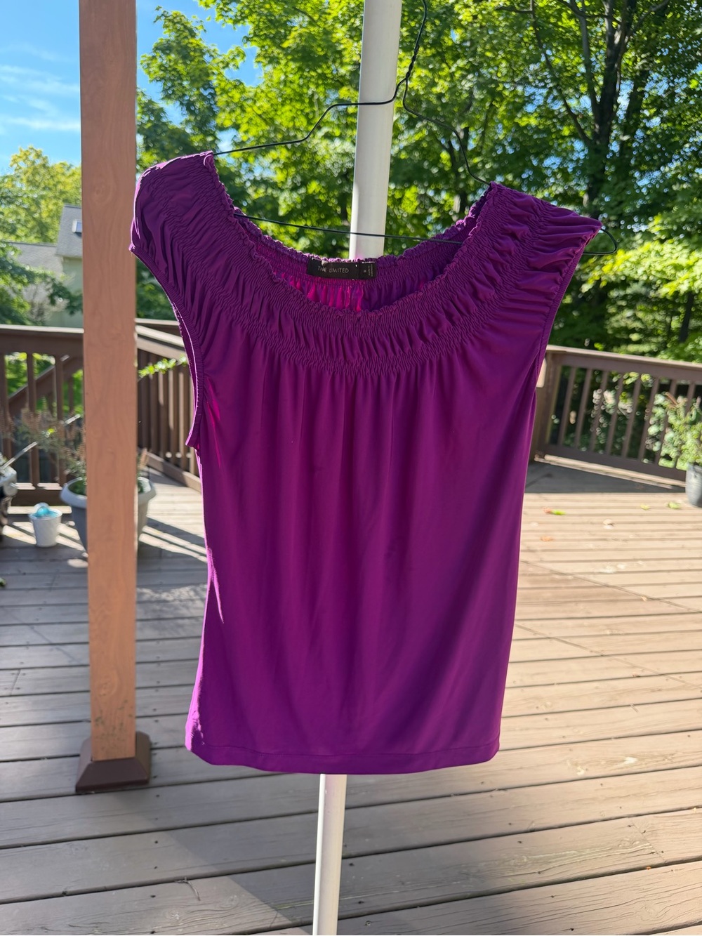 The Limited Smocked Scoop Tank Top - Purple